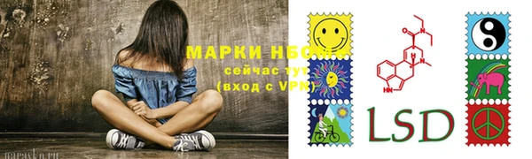 ГАЛЛЮЦИНОГЕННЫЕ ГРИБЫ Аркадак