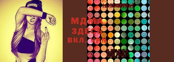 ГАЛЛЮЦИНОГЕННЫЕ ГРИБЫ Аркадак