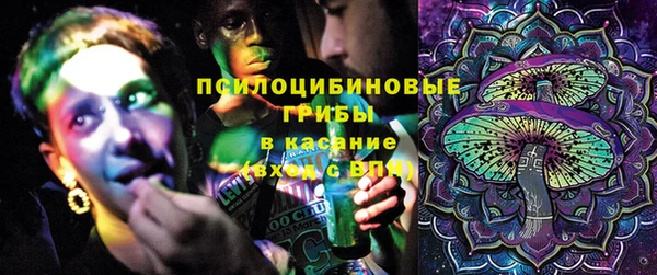 ГАЛЛЮЦИНОГЕННЫЕ ГРИБЫ Аркадак