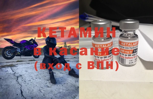ГАЛЛЮЦИНОГЕННЫЕ ГРИБЫ Аркадак
