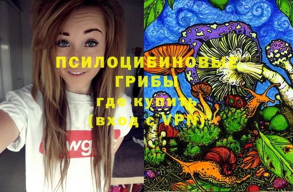 круглые Арсеньев