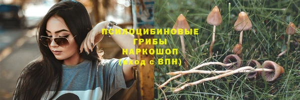 круглые Арсеньев